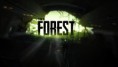 The Forest single player 